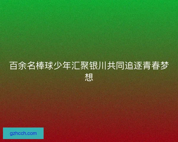 百余名棒球少年汇聚银川共同追逐青春梦想